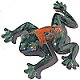 Desert Ceramic Talavera Frog