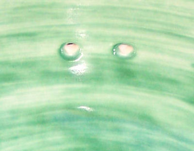 Big Washed Green Talavera Ceramic Sink Close-Up