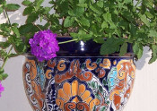 Ceramic Planters