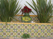 Mexican Tile In The Garden