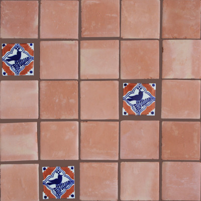 Square 5 Clay Saltillo Tile Close-Up