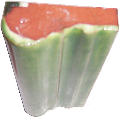 TalaMex Green Chair Rail Molding 6 in. Details