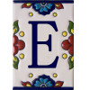 TalaMex Mexican Talavera Mission Tile House Letter E