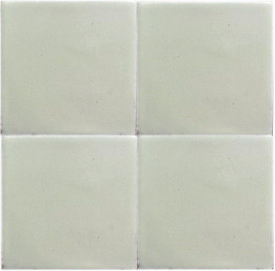 Mexican White Talavera Tile Close-Up